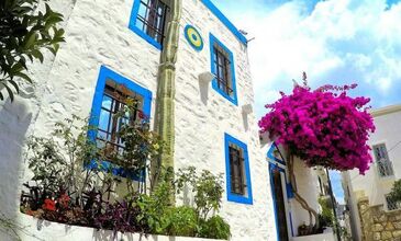 Günübirlik Bodrum - Gümüşlük -Gümbet -  Yel Değirmenleri - Marina Turu