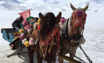 Turistik Doğu Ekspresi Turu 