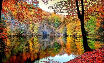 2 GECE 3 GÜN BATI KARADENİZ TURU