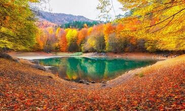 1 GECE 2 GÜN BATI KARADENİZ TURU