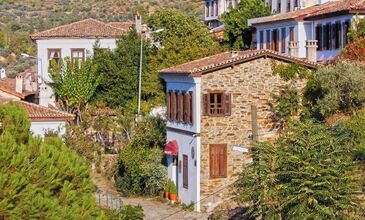 NERGİS FESTİVALİ TURU 